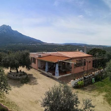 Villa L'Oleandro Ольена Экстерьер фото