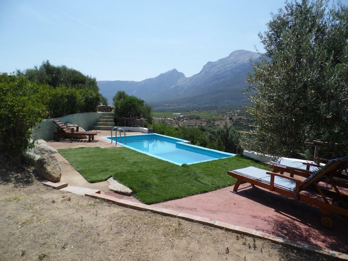 Villa L'Oleandro Ольена Экстерьер фото