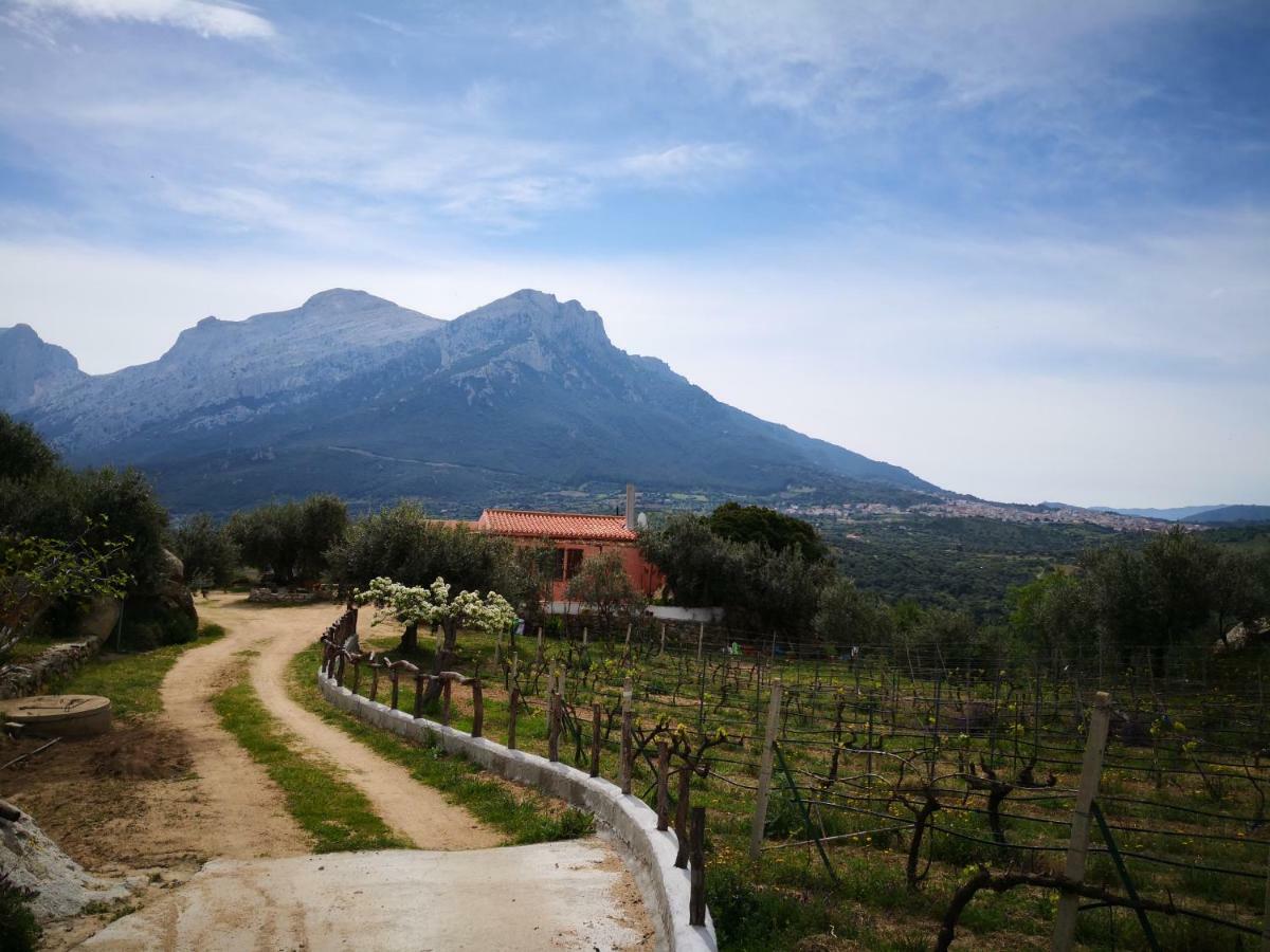 Villa L'Oleandro Ольена Экстерьер фото