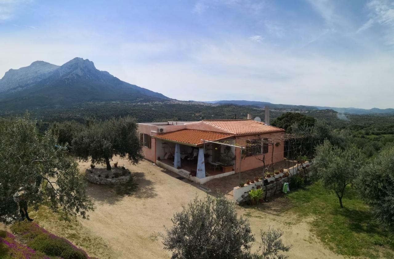 Villa L'Oleandro Ольена Экстерьер фото