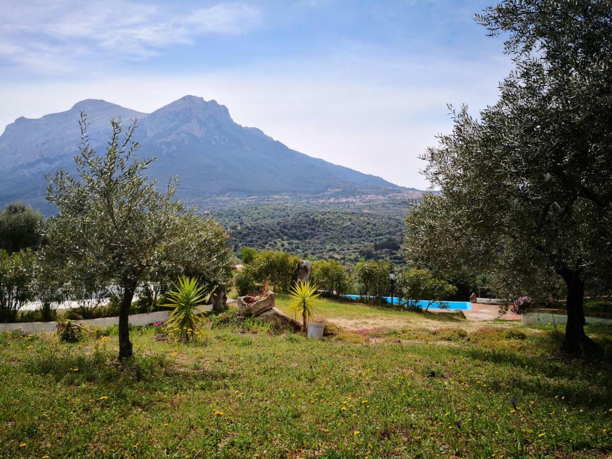 Villa L'Oleandro Ольена Экстерьер фото