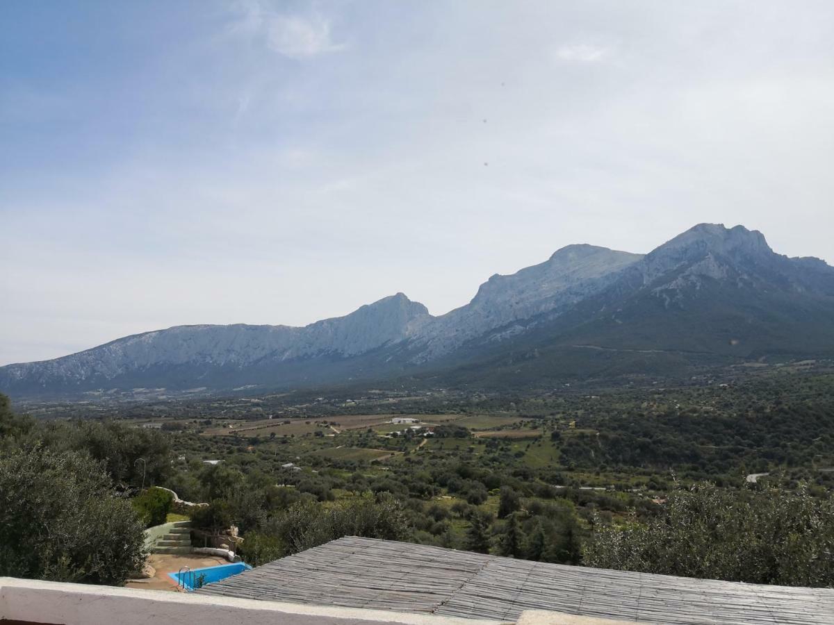 Villa L'Oleandro Ольена Экстерьер фото